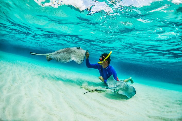 Snorkeler playing with stingray fishes