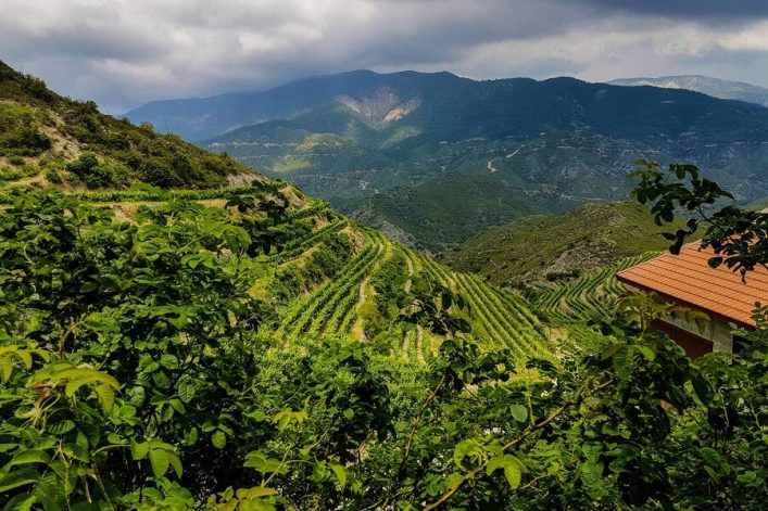 Grünes Bergpanorama im Troodos-Gebirge auf Zypern mit Terrassenfeldern; im Vordergrund Büsche, rechts ein Haus mit rotem Dach; darüber bewölkter Himmel.