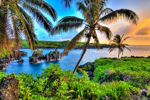 Reiseziele Juli_badeurlaub_Hawaii