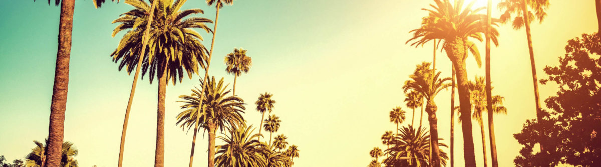 palm-trees-hollywood-los-angeles-istock_000032047156_large-2