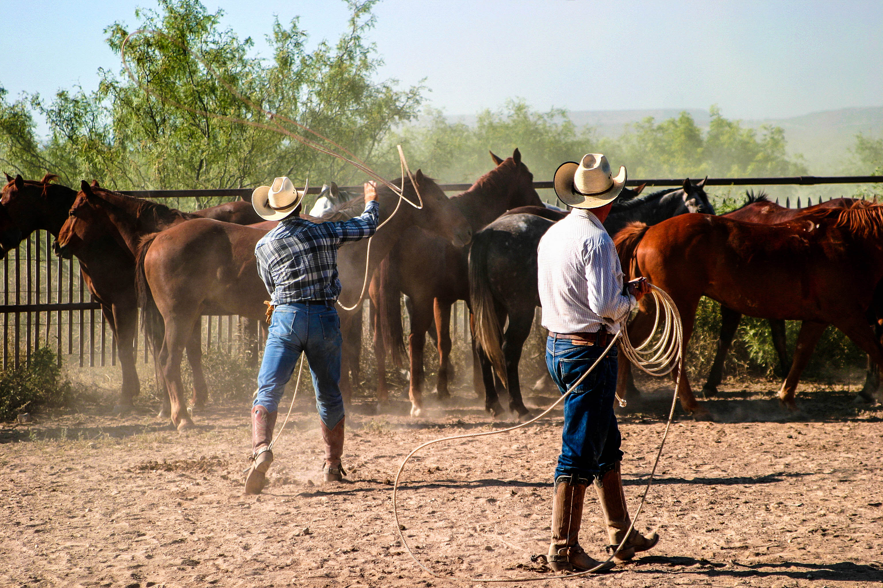 Texas Tipps Bandera, Cowboys, Horses