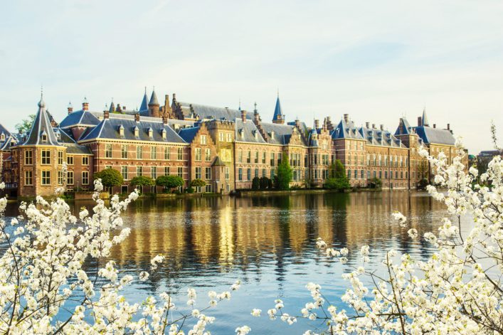 Binnenhof in Den Haag spiegelt sich im Wasser bei Frühlingstag. Die Architektur mit spitzen Dächern wird von blühenden Bäumen umrahmt. Atmosphäre von Ruhe und historischer Pracht.