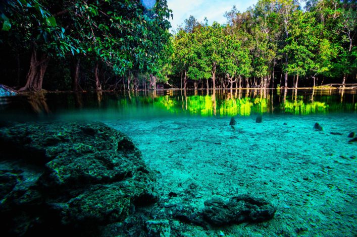Emerald Pool in Krabi Thailand