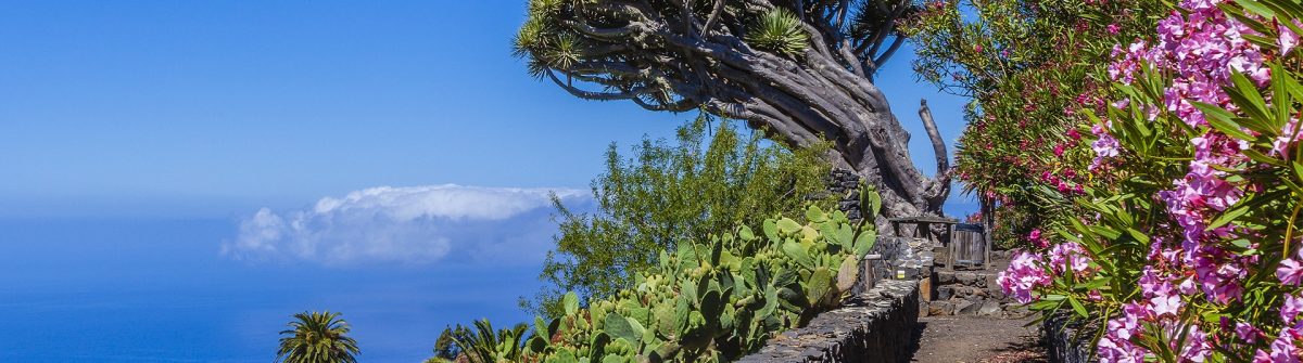 Glimpse of La Palma, Canary Islands