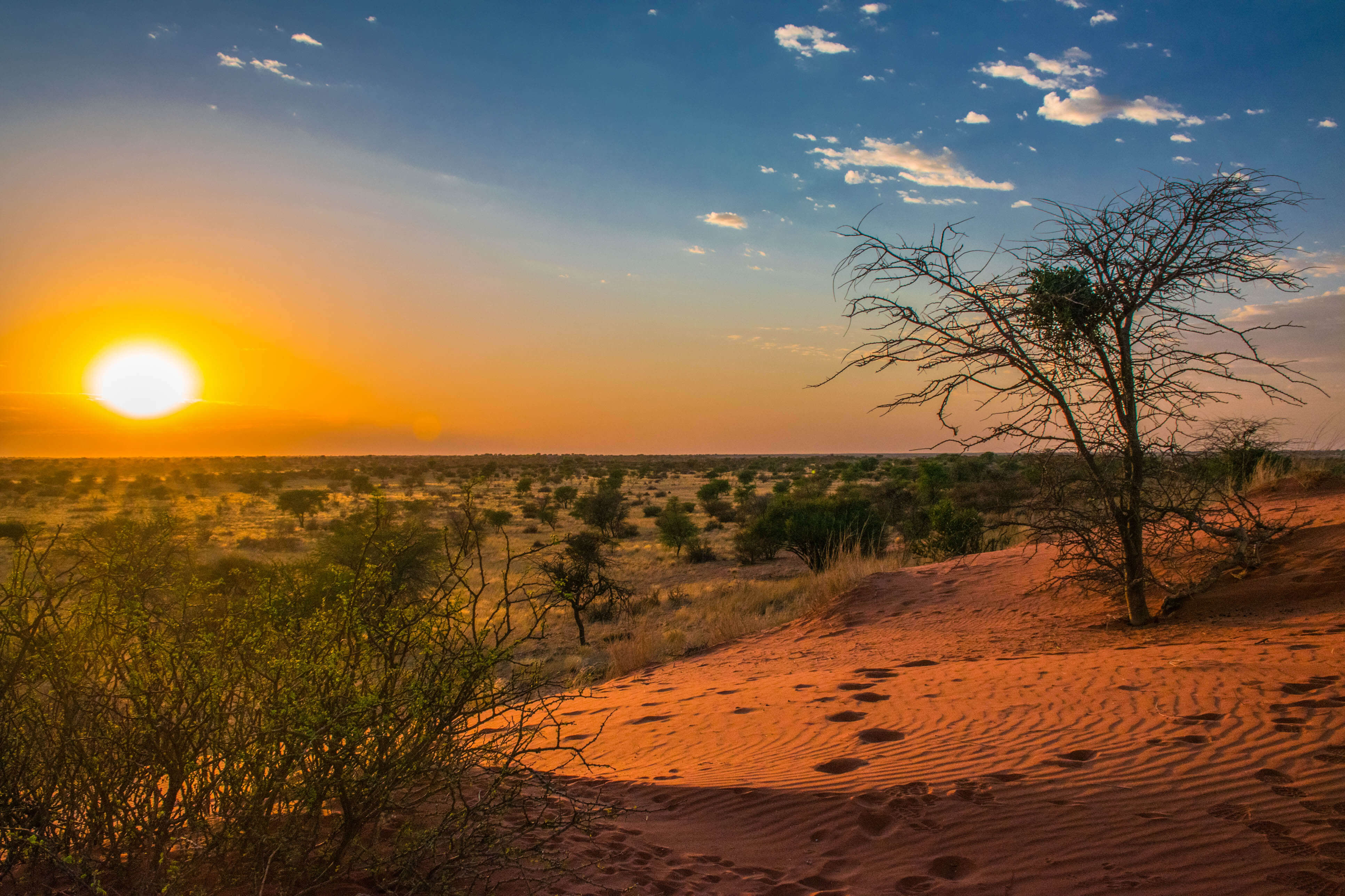 Namibia Kalahari-Wüste