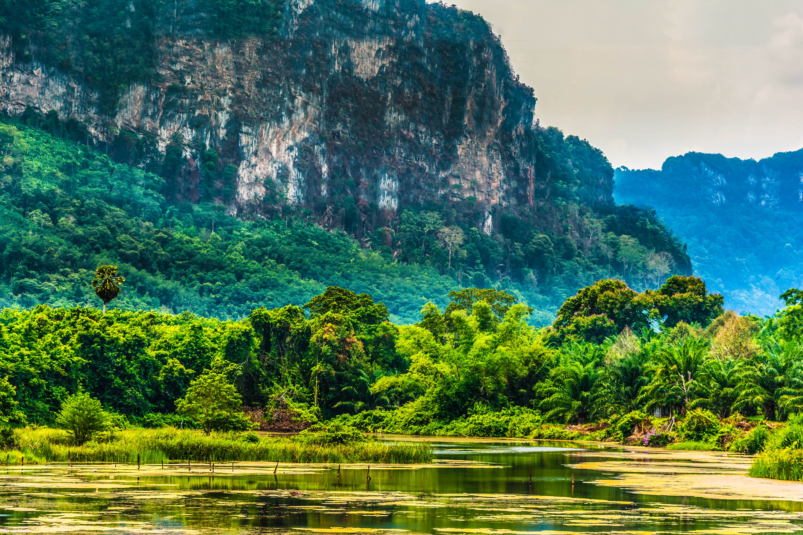 Berge Regenwald Thailand Dschungel Khao Yai Nationalpark