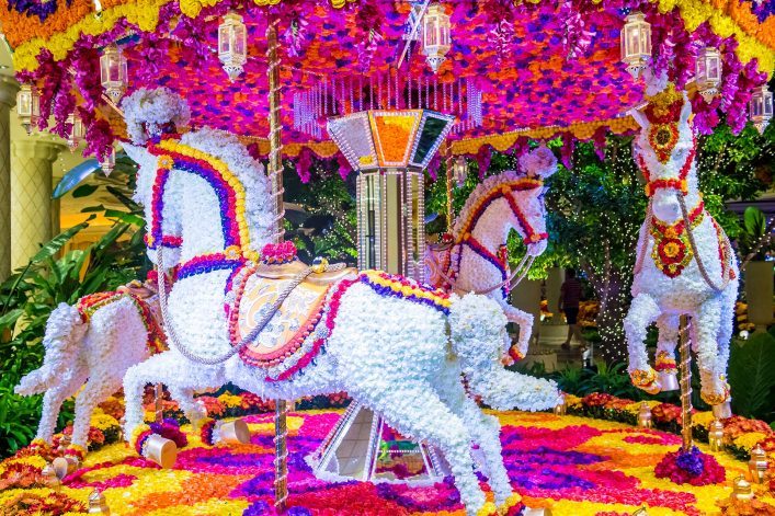 Bild-shutterstock.comKobby-Dagan-707×471