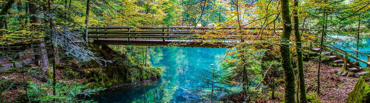 the-wooden-bridge-ar-blausee-blue-lake-in-early-autumn-kandersteg-switzerland-shutterstock_127215080-2