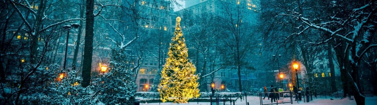 new-york-christmas-tree_shutterstock_1261613938-1