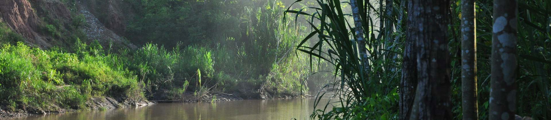 Amazonasgebiet Peru