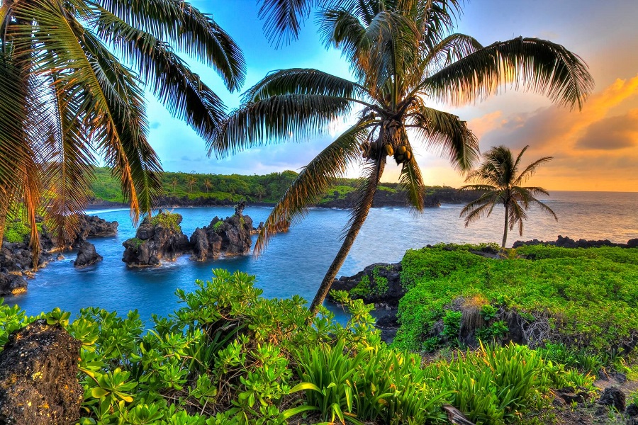 Ausblick auf das Meer von Hawaii