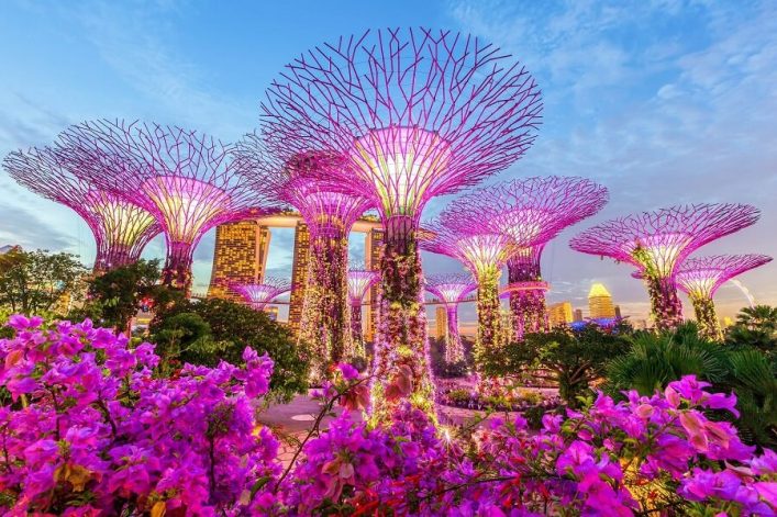 Leuchtende, baumartige Strukturen erheben sich in einem Garten, beleuchtet in Rosa und Purpur. Im Vordergrund blühende Pflanzen, im Hintergrund ein modernes Stadthotel und der blaue Himmel.