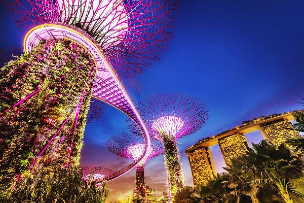 Die Singapur Bäume im Gardens by the bay