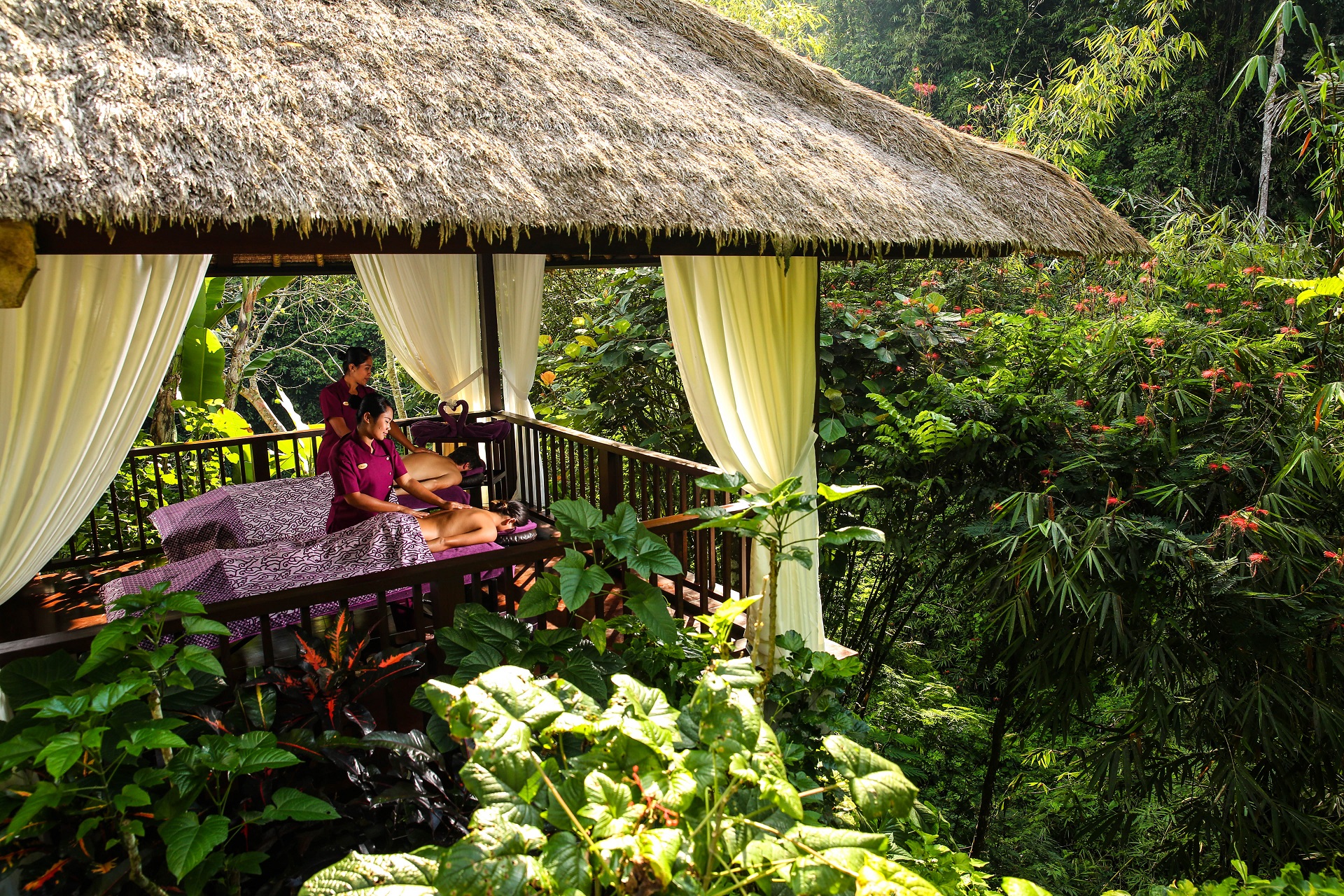 Hanging Gardens Auf Bali Holidayguru Ch