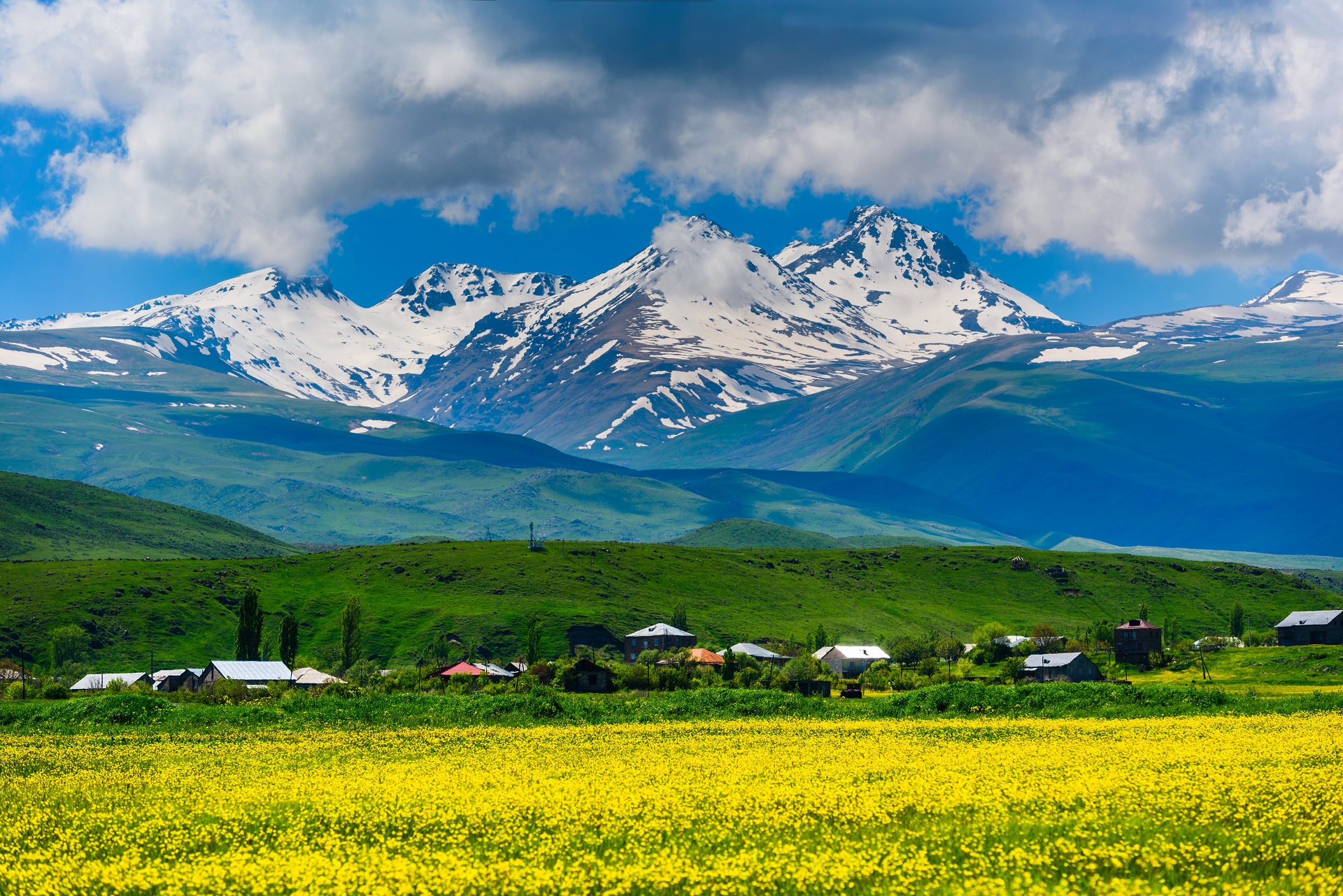 Der Berg Aragats in Armenien mit einer gelben Blumenwiese im Vordergrund.
