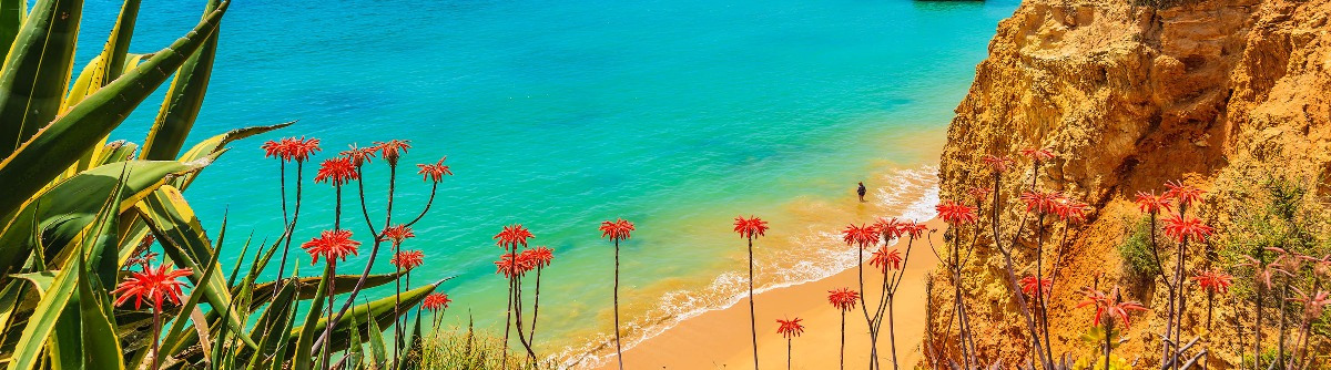 Tropical flowers on beautiful Praia da Rocha beach, Algarve region, Portugal shutterstock_282116426-2