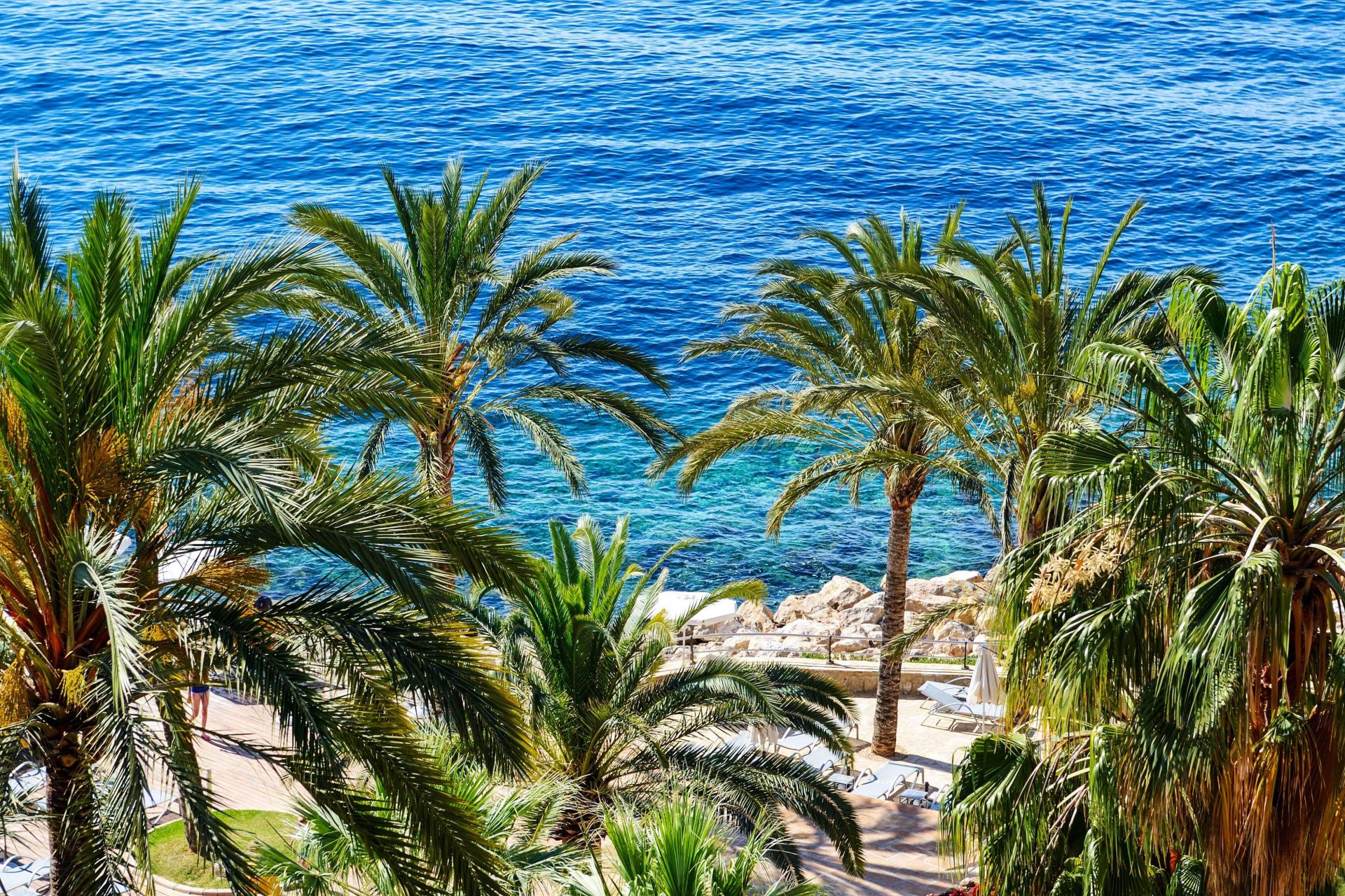 Ein Küstenabschnitt mit Palmen auf Mallorca