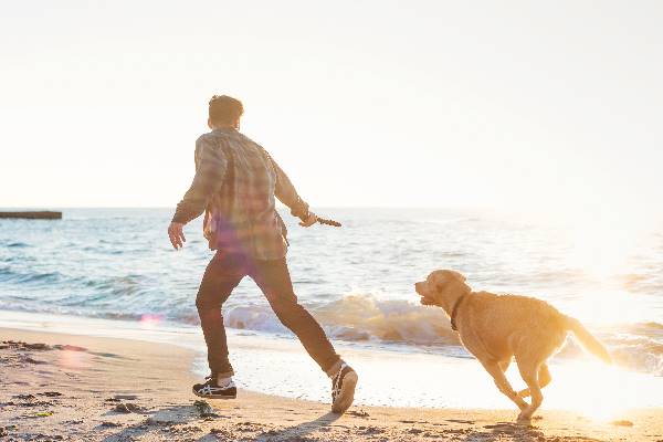 Herrchen tollt mit seinem Vierbeiner am Strand während der Ferien mit Hund.