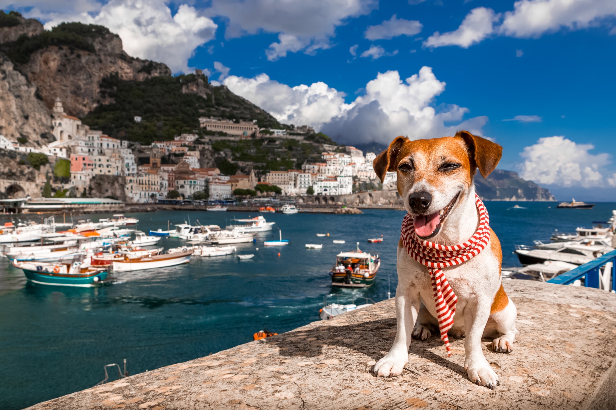 Ferien mit Hund Infos, wertvolle Tipps &amp; Angebote Holidayguru