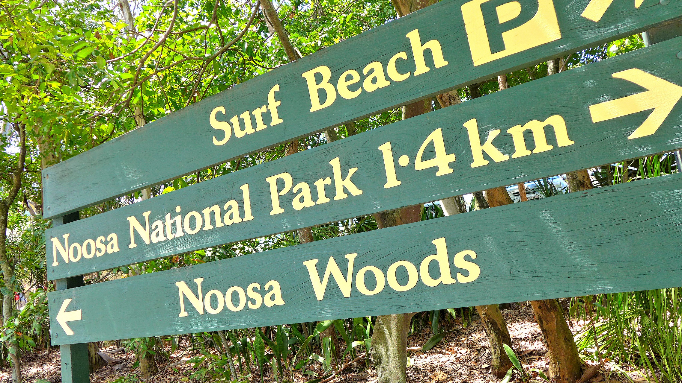 Schilder am Strand von Noosa, Australien