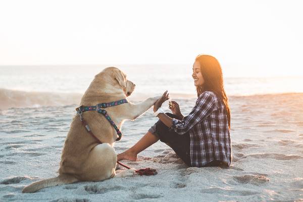 Frau verbringt mit ihrem Hund Zeit am Strand