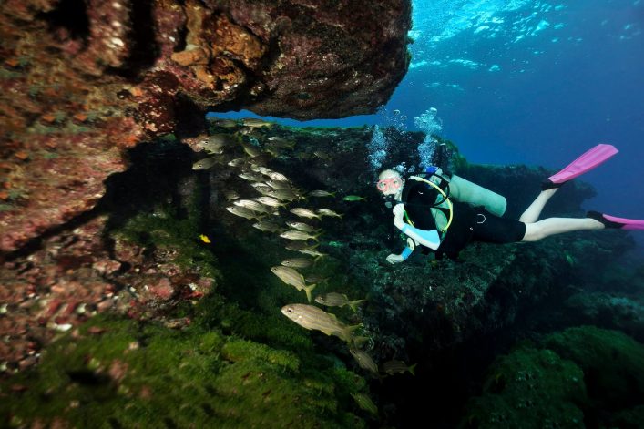 Entdeckt die faszinierende Unterwasserwelt von Fernando de Noronha