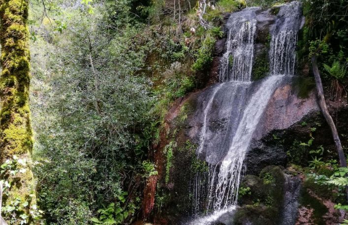 Der Nationalpark Peneda-Gerês bei Braga Portugal