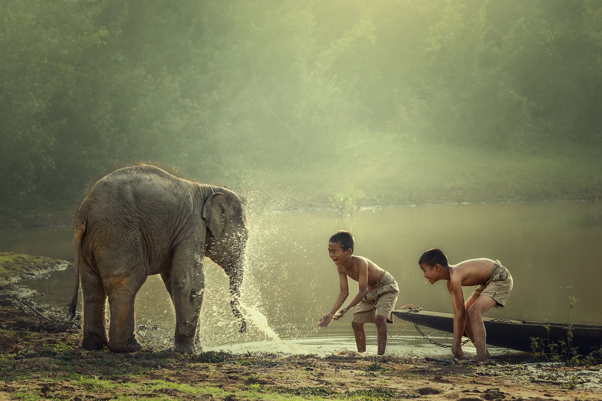 Kinder spielen mit einem kleinen Elefanten