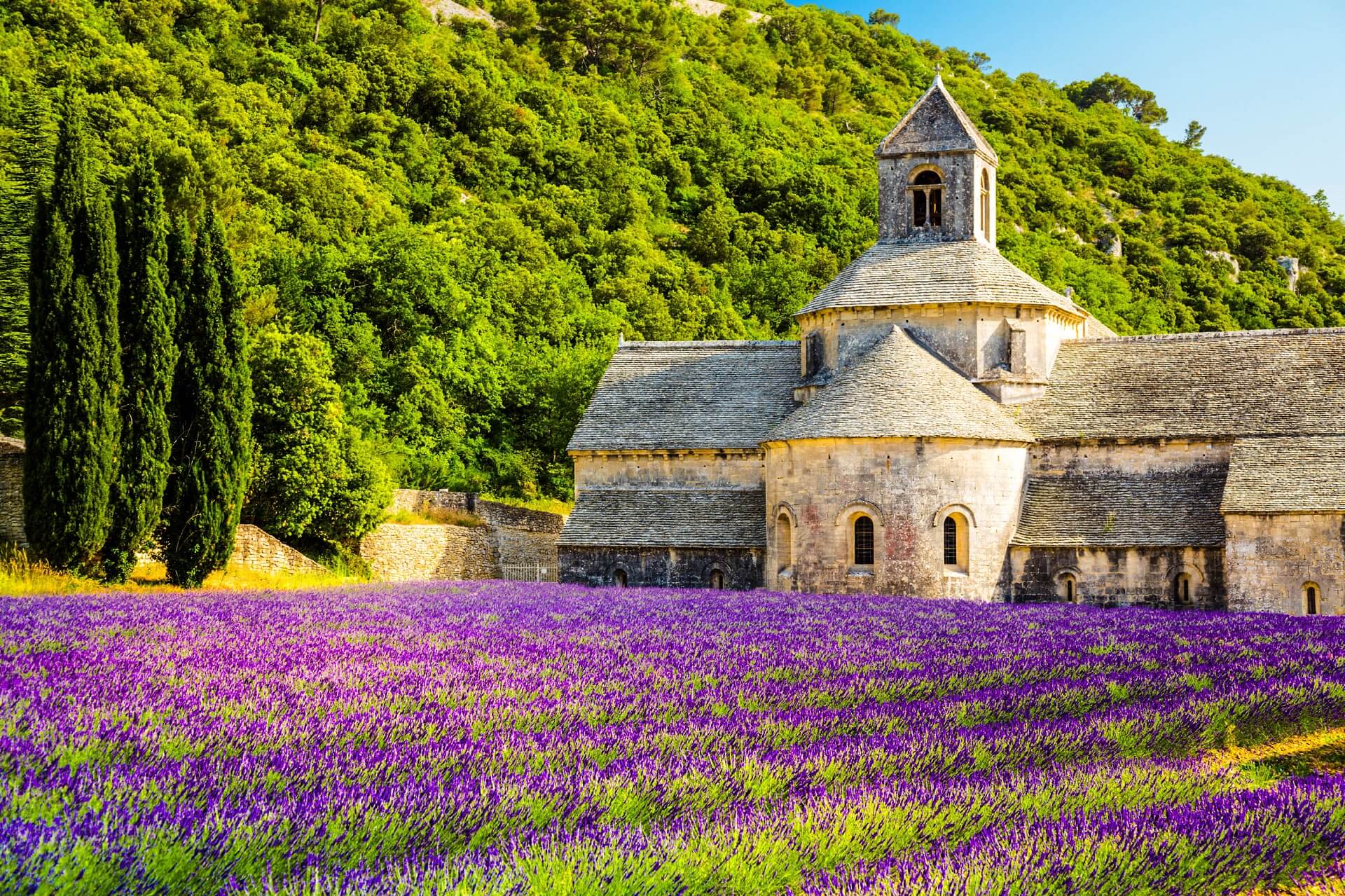 Lavendelfelder in der Provence: Kloster von Sénanque