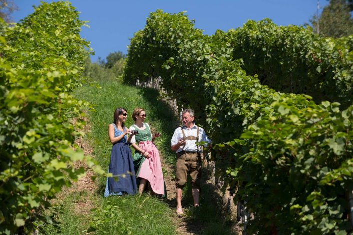 Führung-durch-die-Weingärten-c-Oststeiermark-Tourismus-Bernhard-Bergmann-12