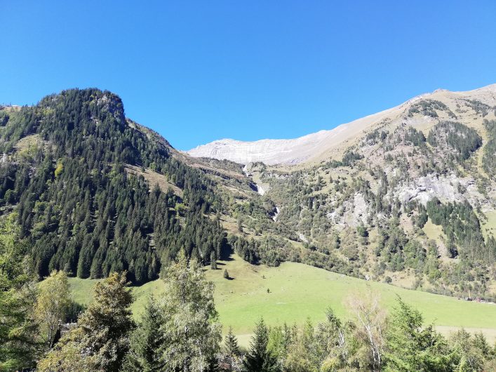 43479425_1940652822658493_8757538689929707520_n