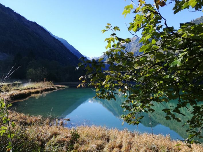 43573206_248537609126098_5817788400798793728_n