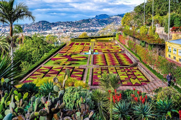 Madeira Tipps Botanischer Garten Funchal