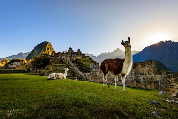 machu-picchu-6