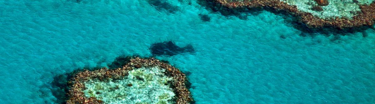 Great-Barrier-Reef-Australien_shutterstock_171704984
