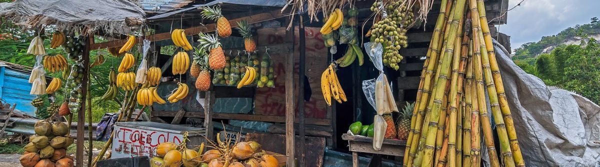 Jamaika-Fruit-Stand-shutterstock_760232347-1