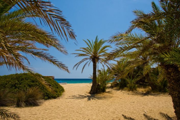 Der karibische Strand Vai. Zu sehen sind kleine und große Palmen an einem beigen Strand. Ganz hinten ist das blaue Meer zu erkennen.