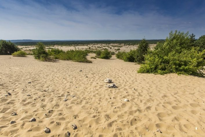 Weite Sandfläche mit vereinzelten Sträuchern im Vordergrund, die sich bis zum Horizont erstreckt. Im Hintergrund dichter Wald. Der Himmel ist klar mit wenigen Wolken.