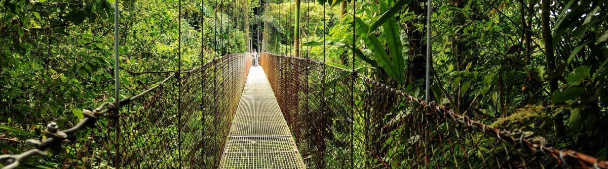 Hängebrücke im Nationalpark des Vulkans Arenal in Costa Rica.