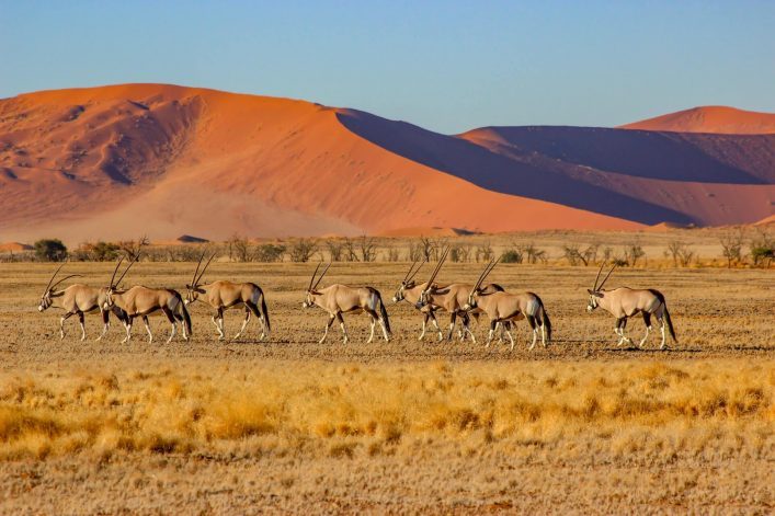 Desert-of-Sossusvlei-Namibia-shutterstock_707436805