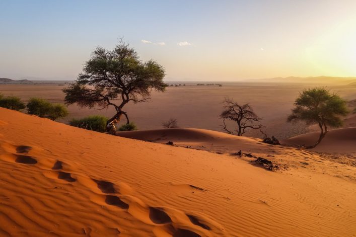 Desert-of-Sossusvlei-Namibia-shutterstock_791284063