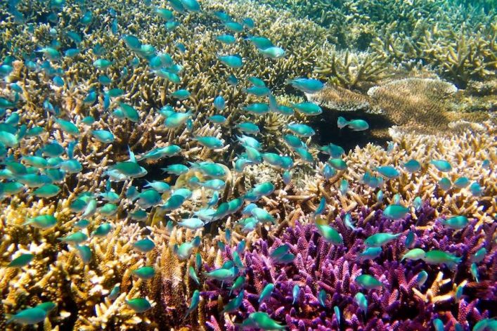 Malaysia-Sipadan-iStock-155908274