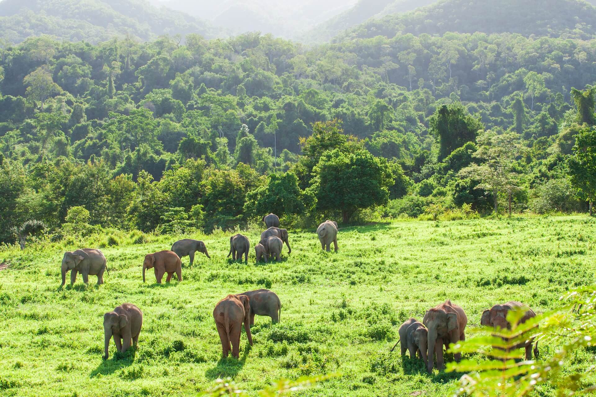 Top 10 der Nationalparks in Thailand Holidayguru