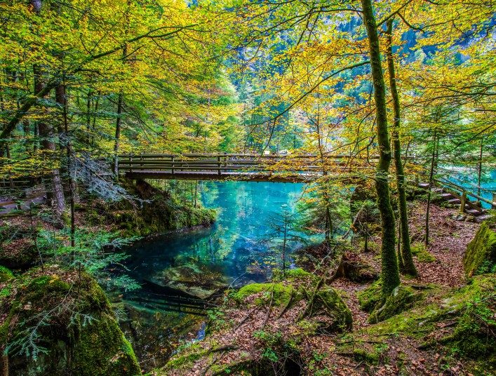 the-wooden-bridge-ar-blausee-blue-lake-in-early-autumn-kandersteg-switzerland-shutterstock_127215080-2
