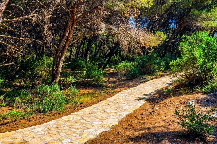 Mediterranean-landcape-footpath-and-pine-wood-island-Mljet-near-Dubrovnik-Croatia-shutterstock_115233046-2