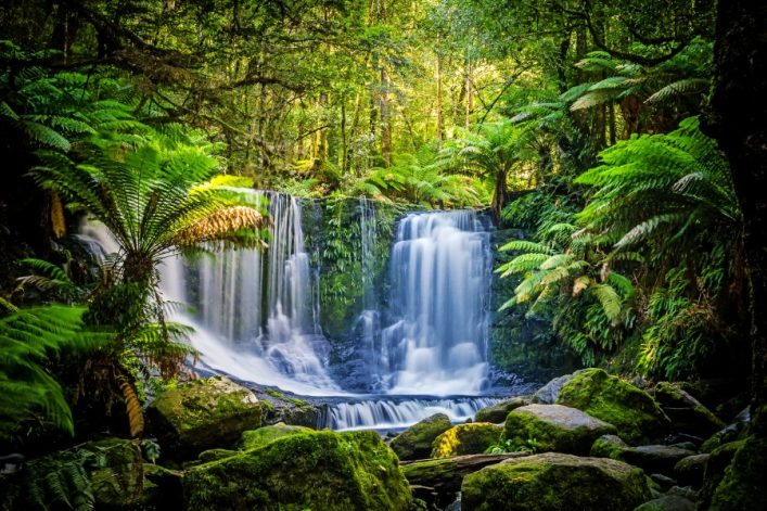 Wasserfall fließt über Felsen inmitten eines dichten Waldes mit üppigem grünen Farn und Moos, das den Boden bedeckt. Sonnenlicht bricht durch das Blätterdach und erhellt die Szene.