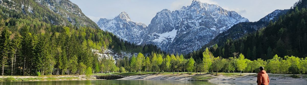 Berglandschaft mit schneebedeckten Gipfeln im Hintergrund, dichte grüne Wälder in der Mitte. Am Seeufer im Vordergrund steht rechts eine Person in orangefarbener Jacke.