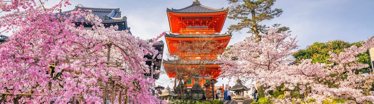 shKiyomizu-dera-Temple-and-cherry-blossom-season-Sakura-spring-time-in-Kyoto-Japan_1017748132-1