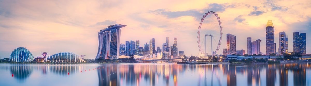 Lebhafter-Panoramablick-Hintergrund-der-Skyline-von-Singapur_shutterstock_655748179