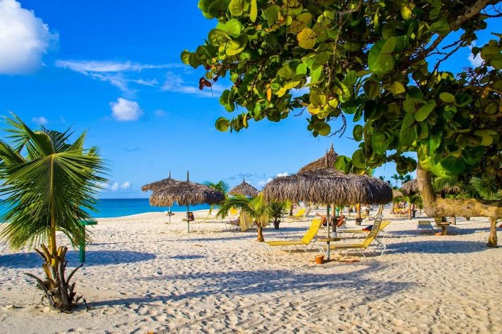 Eagle Beach auf Aruba mit feinem, weißen Sand, Palmen, Strohhütten und gelben Liegestühlen unter klarem, blauen Himmel mit wenigen Wolken. Ein großer Baum mit grünen Blättern ragt von rechts ins Bild.